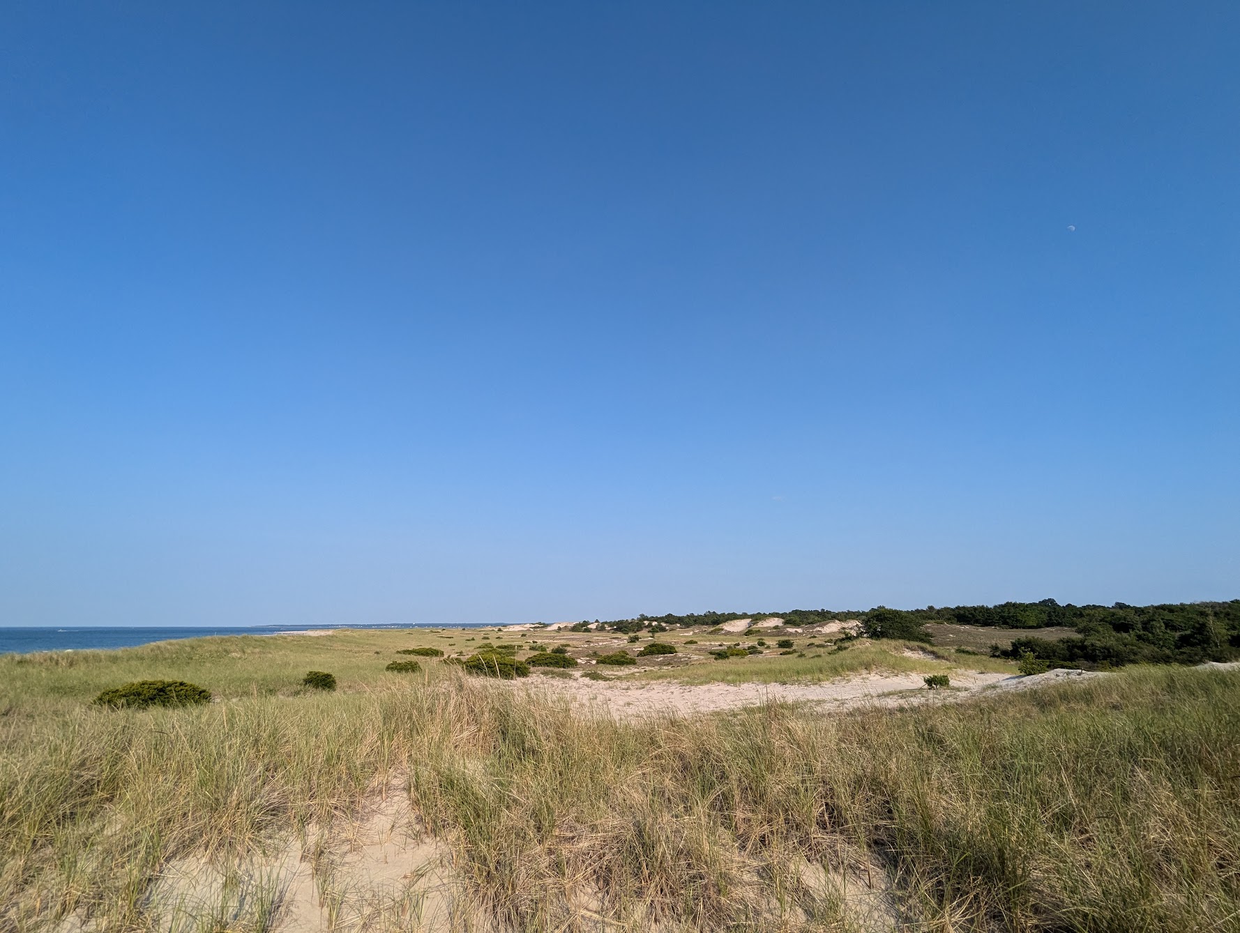 Crane Beach Dune