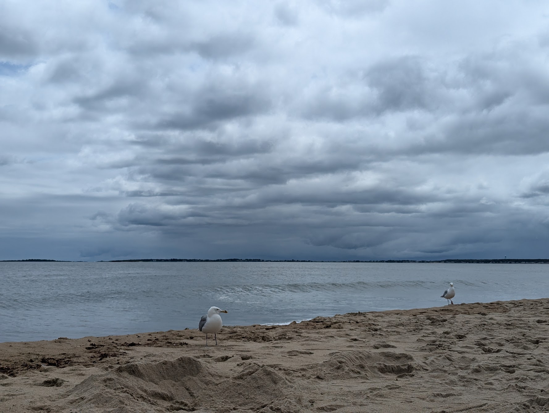 Another (cloudy) Day at the Beach