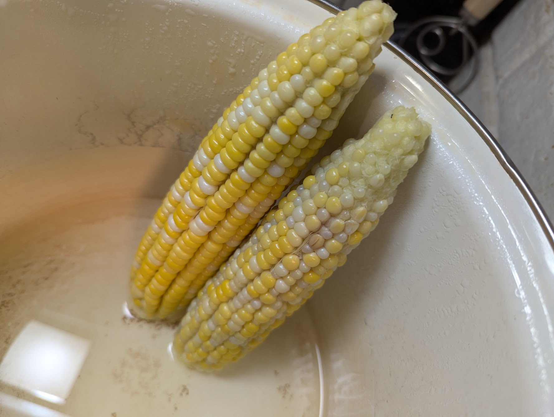 Ugly Corn